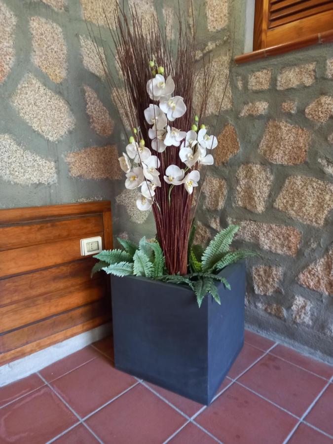 Hotel Olimpia Baja Sardinia Kültér fotó