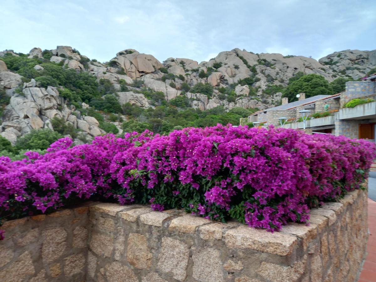 Hotel Olimpia Baja Sardinia Kültér fotó